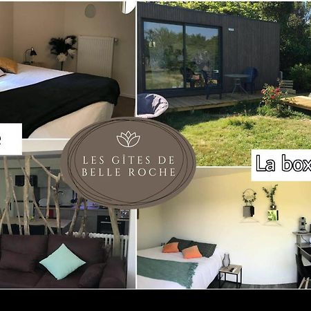 Les Gites De Belle Roche Mâcon 外观 照片